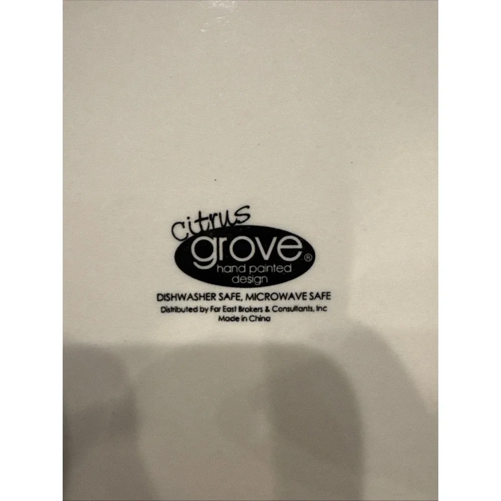 CITRUS GROVE 10-3/4"  Orange Swirl Dinner Plate - Picture 3 of 4